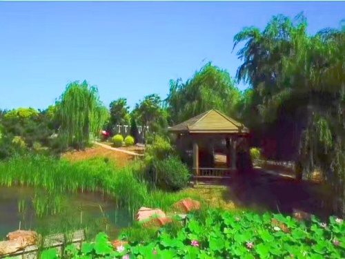沈阳龙生墓园风景秀丽
