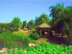 沈阳龙生墓园风景秀丽
