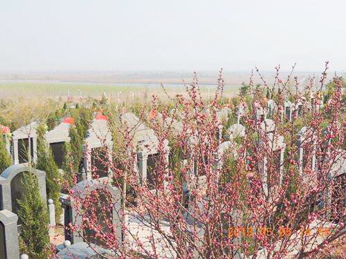 沈阳龙生墓园辽民政经营公墓